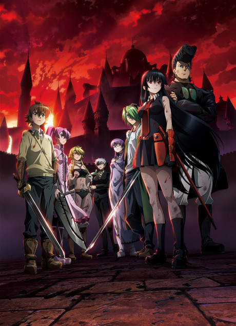 Affiche de Akame ga Kill!
