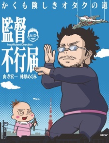 Affiche de Insufficient Direction