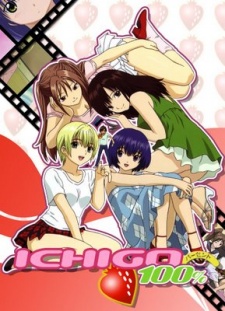 Affiche de Strawberry 100%