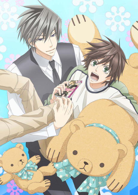 Affiche de Junjo Romantica 3