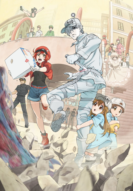Affiche de Cells at Work!