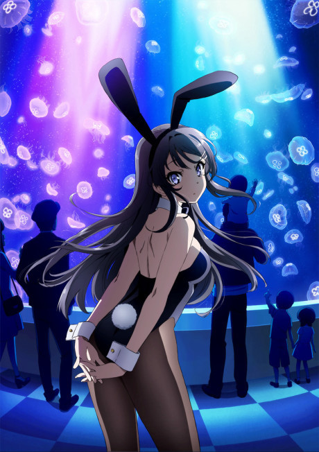 Affiche de Rascal Does Not Dream of Bunny Girl Senpai