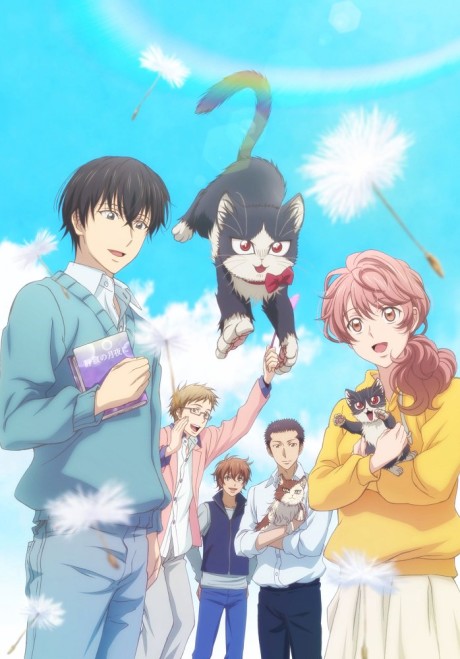 Affiche de My Roommate is a Cat