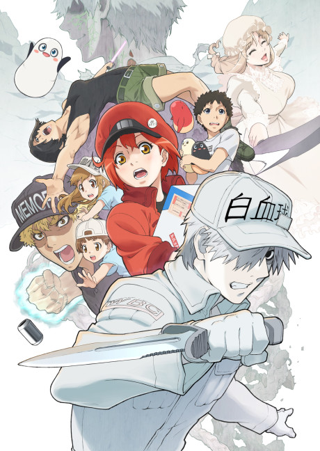 Affiche de Cells at Work!!