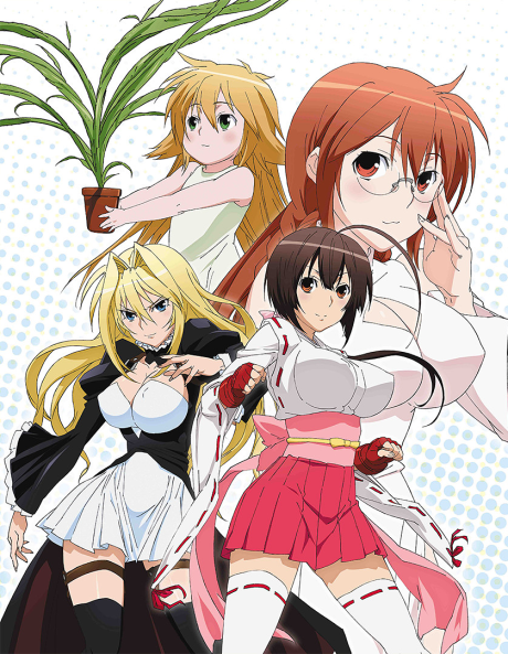 Affiche de Sekirei