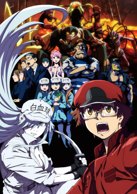 Affiche de Cells at Work! CODE BLACK!