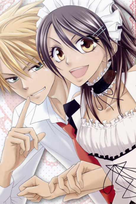 Affiche de Maid Sama!